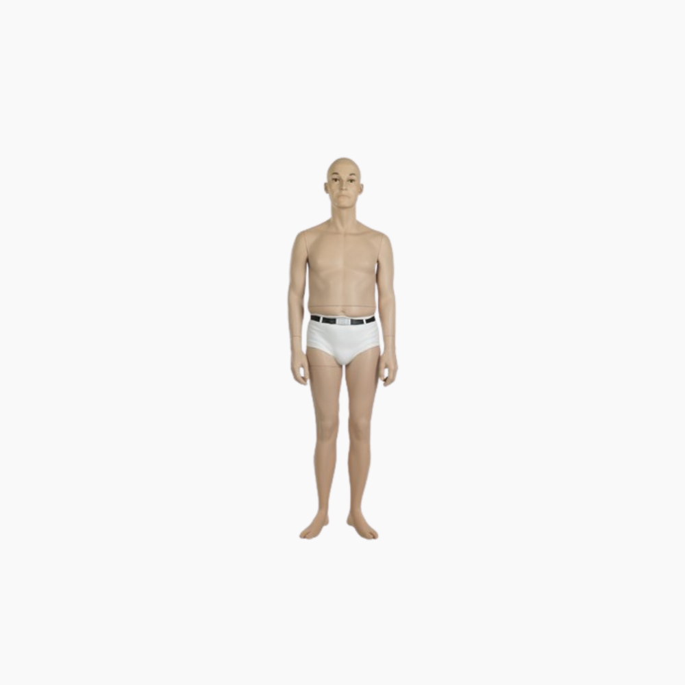 ugly male mannequin flesh m2901 t/sculp