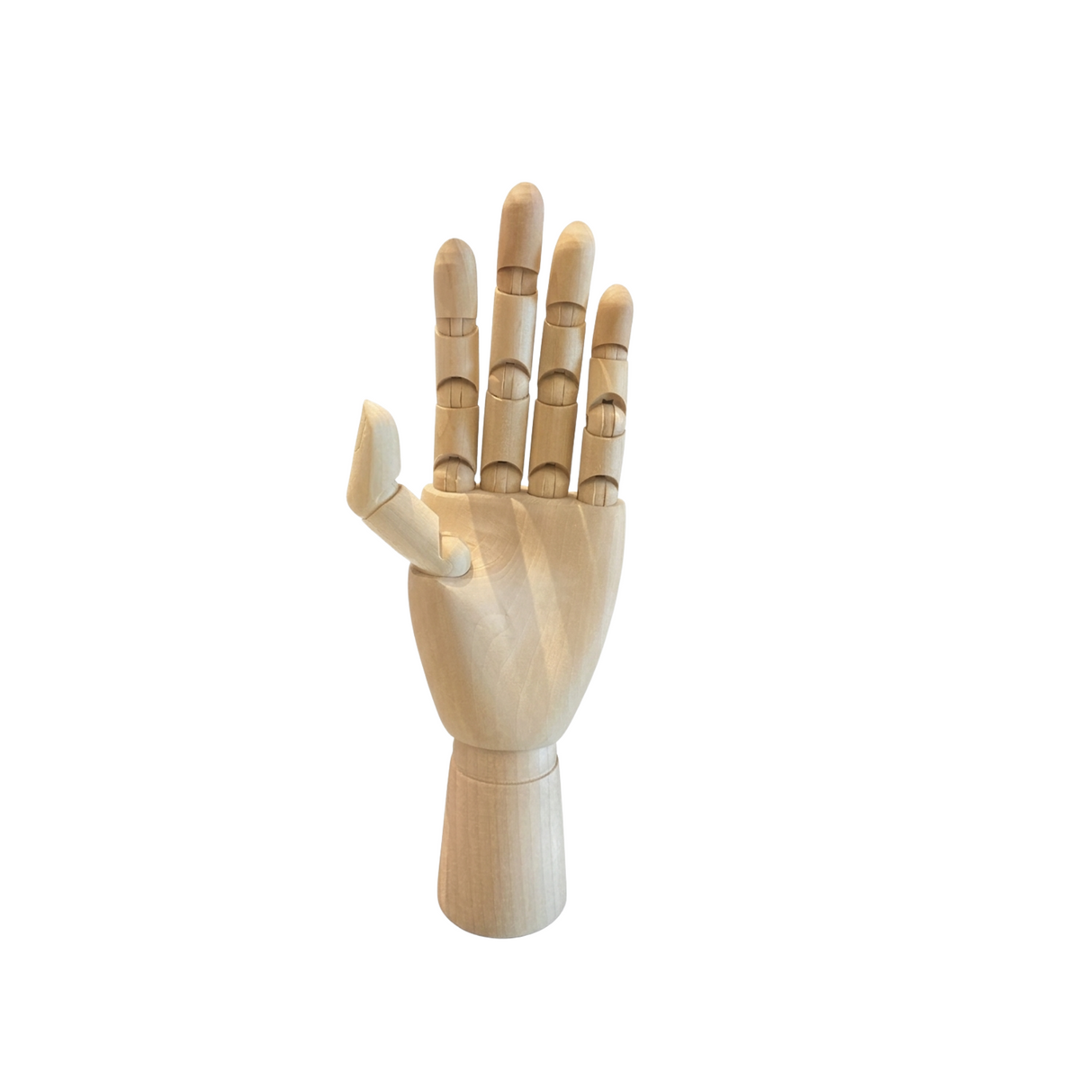 Mano Articolata Donna Legno Gioielli e Vetrina