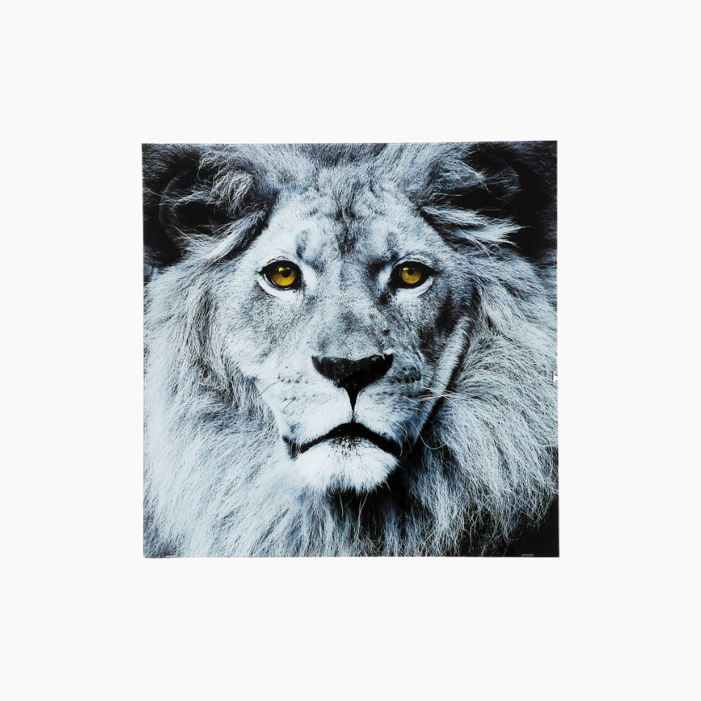 Quadro Face Lion